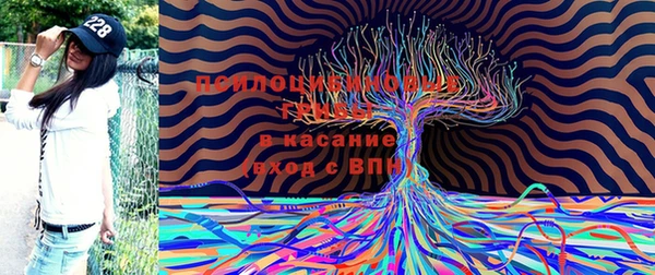 прущая мука Балабаново